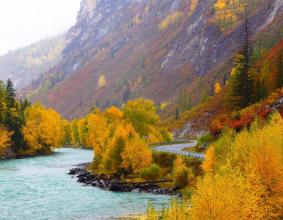 Золотая осень в Горном Алтае – совершенный отдых!