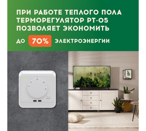 Терморегулятор РТ-05